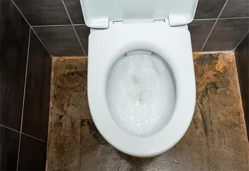 Desentupidora de Vaso Sanitário Urgente em São Vicente